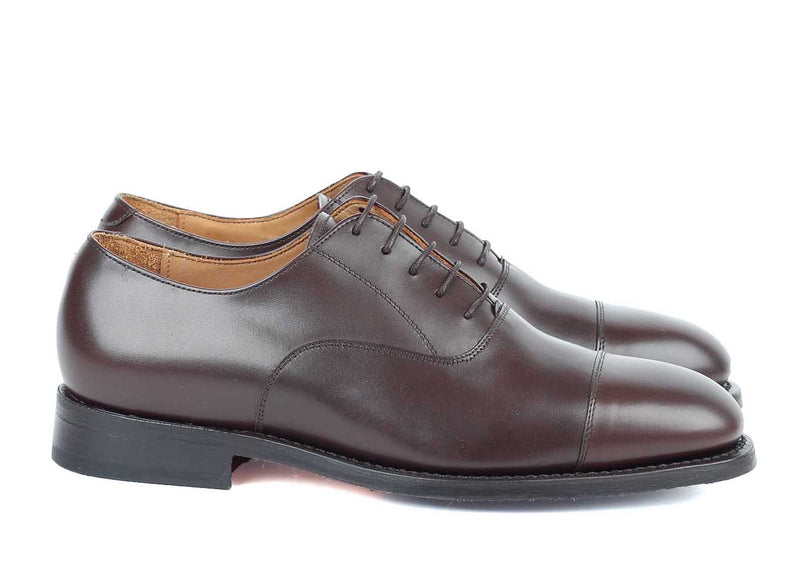 Oxford - Dark Brown