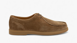 Arezzo Flint Suede