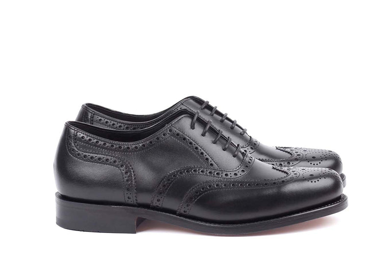 VIV Black - Calf Brogue - Derby