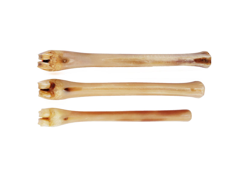 Abbeyhorn Polishing Bone